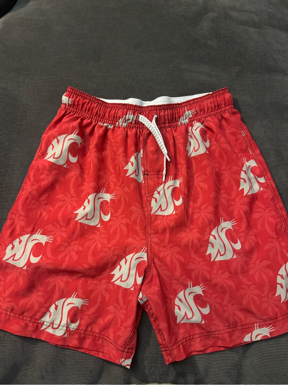 Boys Washington State Hawaiian Swim Trunks with White Logo Print